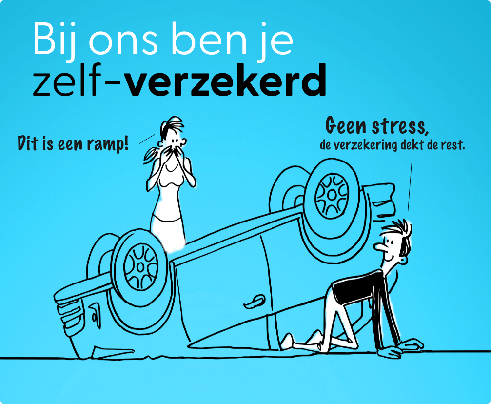 De Verzekeraar